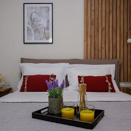 Vicanti Luxury Apartment Pylos