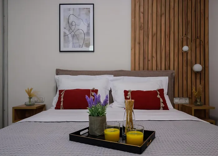 Vicanti Luxury Lägenhet Pylos